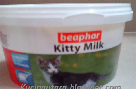 Kematian ibu disebabkan oleh perdarahan, tekanan darah yang tinggi saat hamil (eklampsia), infeksi, persalinan macet dan komplikasi keguguran. Kucing Utara: Cara Menyusu Botol anak kucing