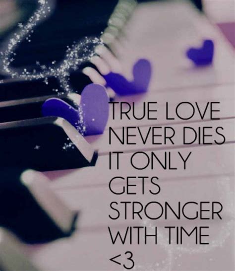 Wallpaper True Love Images Download Here You Can Find The Best True