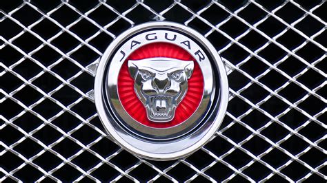 Jaguar Emblem · Free Stock Photo