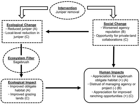 Flow Diagram Of The Social Ecological Impact Assessment Framework