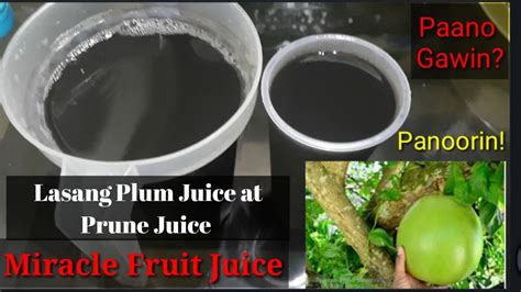 Miracle Fruit Juice O Calabash Juice Ll Health Benefits Ll Gha Lee