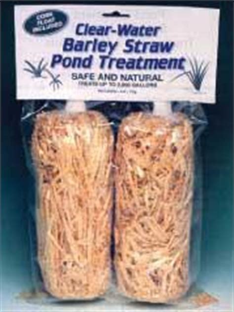 Pond Maintenance Barley Straw Bales 2 Pack Pond Water Care