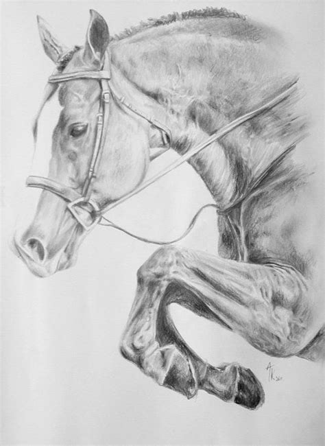 Nowadays, i propose how to draw horse drawings for you, this post is similar with african elephant coloring pages. 18+ Horse Drawings, Art Ideas | Design Trends - Premium ...