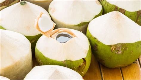 Young Fresh Thai Coconut Buy Young Thai Coconutspolished Young