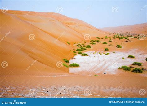Amazing Sand Dunes During Sunny And Windy Day In The Natural Reserve Of
