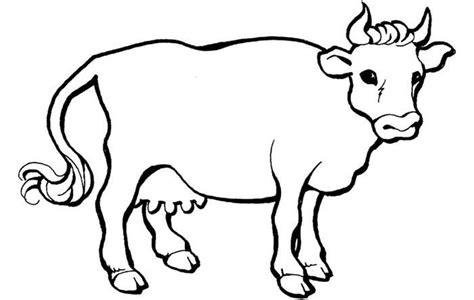 73 Animal Colouring Pages Free Download And Print Cow Coloring Pages