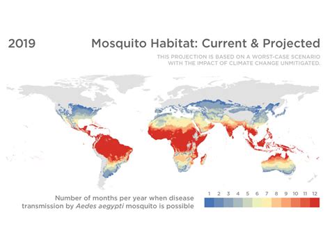 Chart Where Disease Carrying Mosquitoes Will Go In The Future Ncpr News