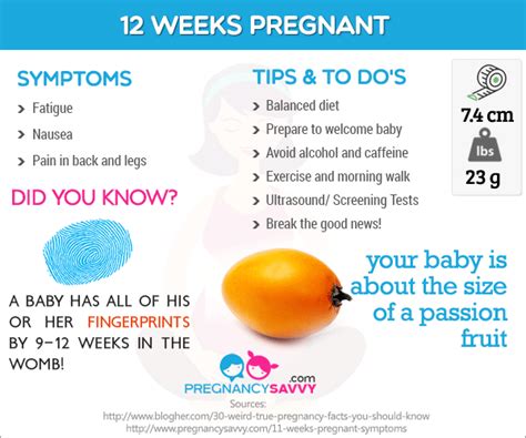 12 Weeks Pregnant 12 Weeks Pregnant Symptoms 12