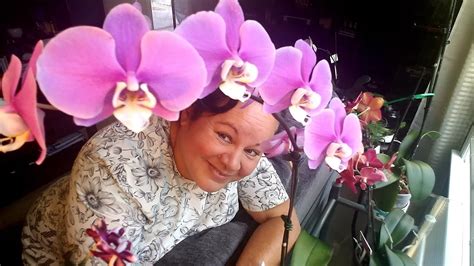 Belleza de Orquídeas de mi vecina en varios sustratos y en ...