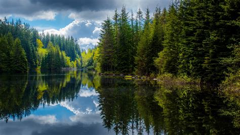 Canada British Columbia Lake Trees Spring Reflection Wallpaper