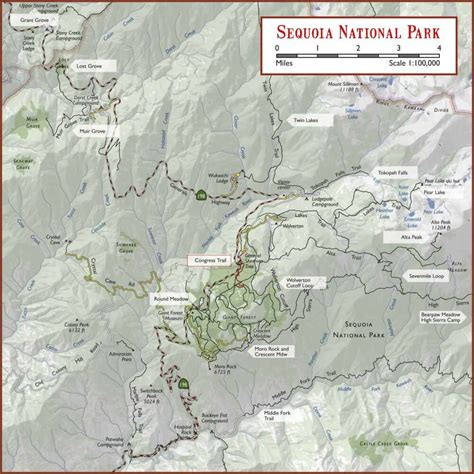 The Complete Guide To Hiking The Congress Trail Sequoia National Park