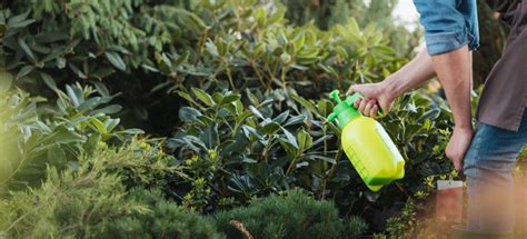 Most Used Homemade Garden Sprays Garden Pest Control Fantastic