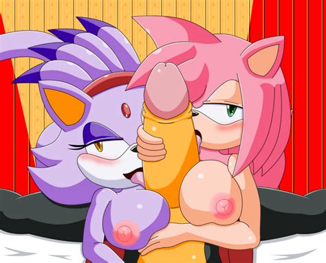 Rule 34 Amy Rose Anthro Blaze The Cat Breasts Cat Chaossabre Color