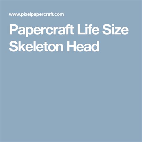 Papercraft Life Size Skeleton Head Life Size Skeleton Life Size