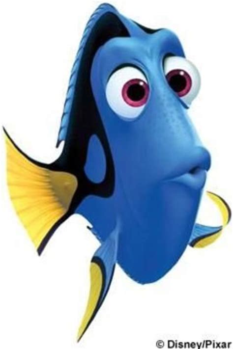 Dory Confused Enchanting Character In Finding Nemo 2003 Disney