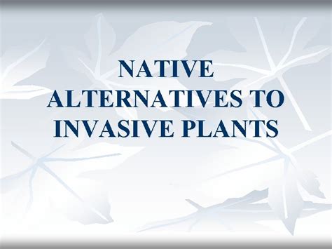 Native Alternatives To Invasive Plants Purpose N To