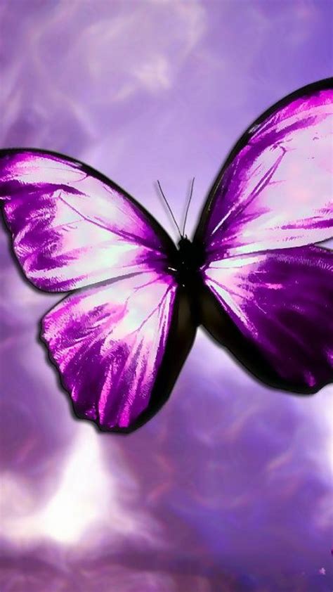 Purple Butterfly Mobile Wallpaper Hd Cute Wallpapers 2022
