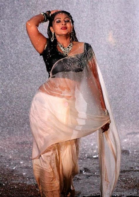 Hot South Indian Aunty In Wet Saree Indian Cinema Gallery