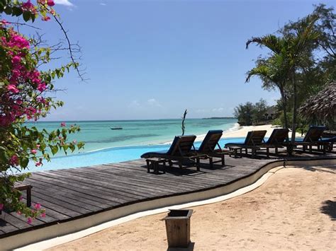 Pongwe Beach Hotel Updated 2017 Prices Reviews And Photos Zanzibar