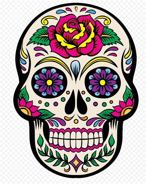 Dia De Los Muertos Calavera Calavera Calavera Y Tibias Cruzadas