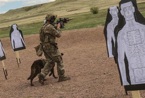 Dvids Images 10th Group Green Berets K9s And Law Enforcement