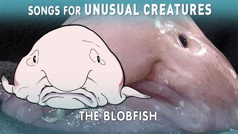 The Incredible True Story Of The Blobfish Youtube