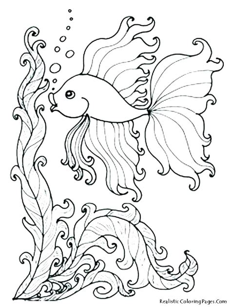 Ocean Adult Coloring Pages At Getdrawings Free Download