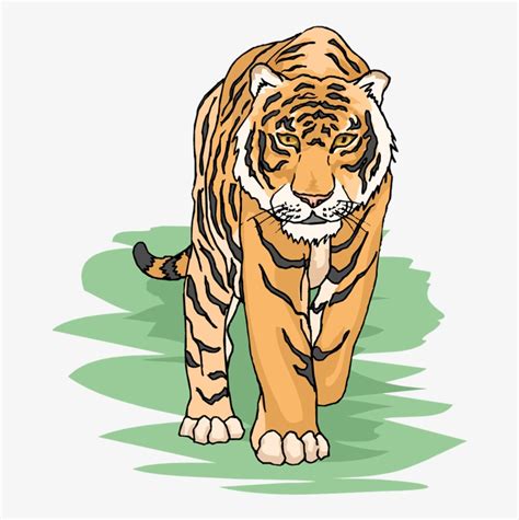 Top Tiger Cub Stock Vectors Illustrations And Clip Art Clipart Library
