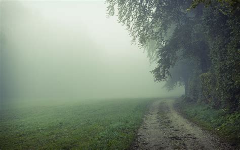 Foggy Field Wallpapers Top Free Foggy Field Backgrounds Wallpaperaccess