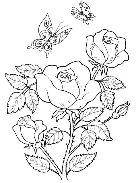 Malvorlagen Blumen Rosen Big Rose Coloring Pages Blumen Ausmalbilder