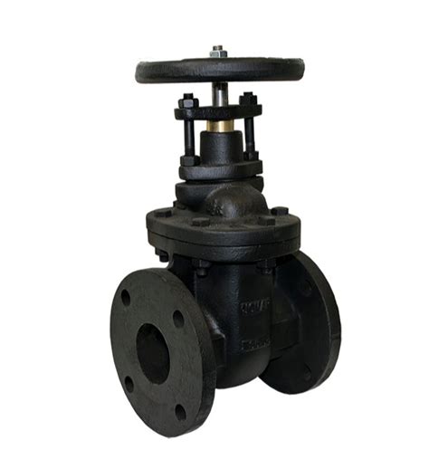 Cast Iron Gate Valve Size From 40mm To 1200mm Rs 300 Piece P