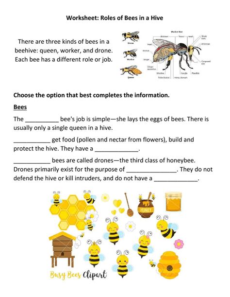 Honey Bees Worksheet Bee Worksheets States Of Matter Worksheet