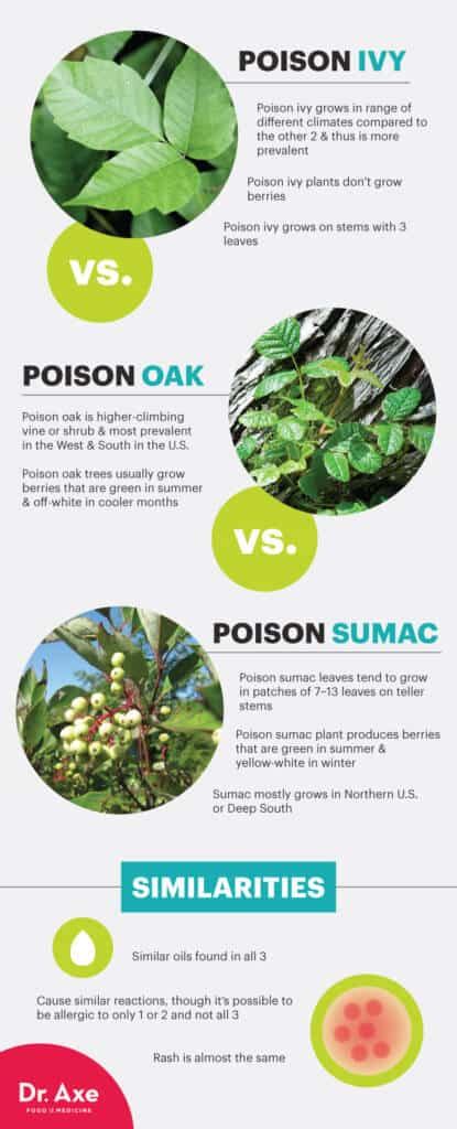 Top 5 Natural Remedies For Poison Ivy Rash Bayareacannabis