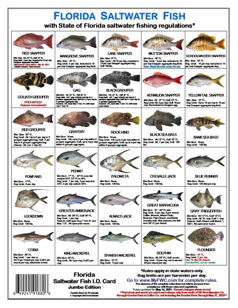 Saltwater Fish Id And Regulations Jumbo Card Florida 649241918806 Ebay