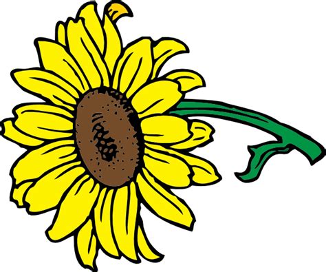 Gambar tersebut bisa anda download langsung, caranya silahkan klik pada g. Paling Keren 17+ Sketsa Bunga Matahari Simple - Gambar ...