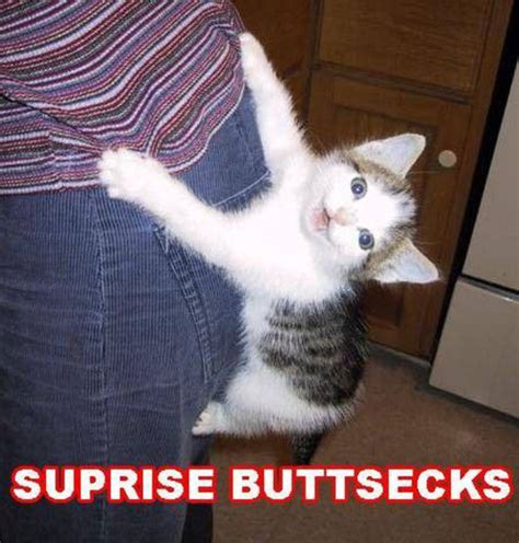 Surprise Buttsecks Video Gallery Sorted By Low Score Know Your Meme