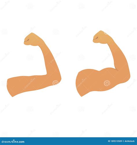 Strong Muscular Build Arm Versus Weak Arm Stock Vector Illustration