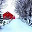 Winter Wonderland  Pictures Scenery Red Barns