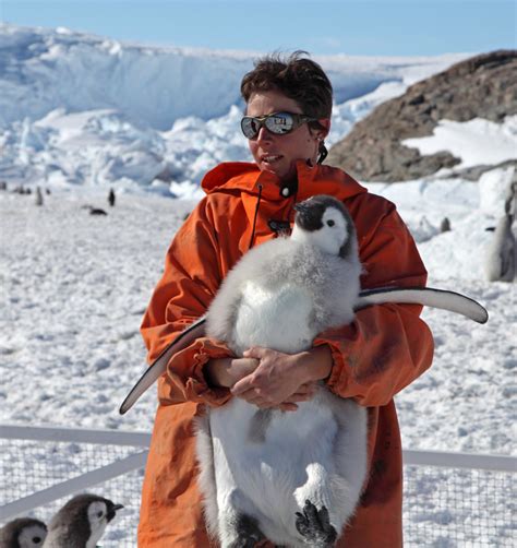 How long do king penguins live. Study finds Emperor penguin in peril