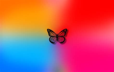 Tons of awesome colo colo wallpapers to download for free. Wallpaper color, background, butterfly, colors, art ...