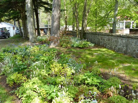 Woodland Garden — Heather Dale Garden Design Aberdeen And