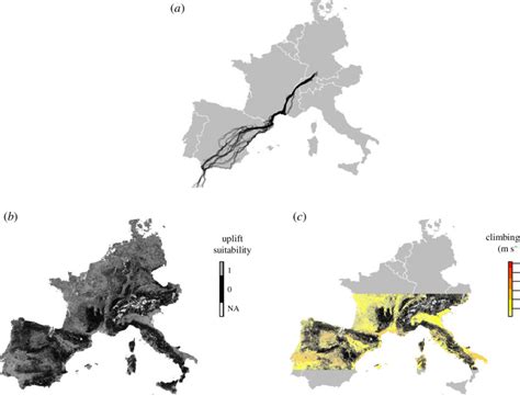 Spatial Coverage Of The White Storks Migration Routes Relative To The
