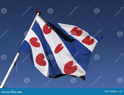 Vlag Van Friesland Redactionele Afbeelding Image Of Land 77732950