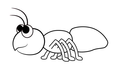 Dibujos De Hormigas Para Colorear Hormigas Para Pintar