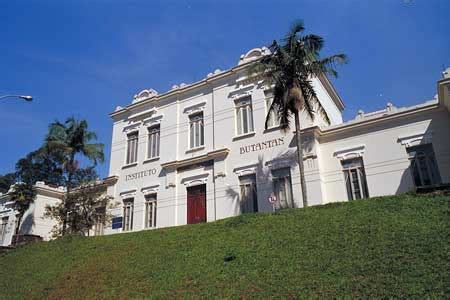 It is located near the campus of the university of são paulo, in the city of the same name. Galdino Saquarema Noticia: Incêndio no Instituto Butantan