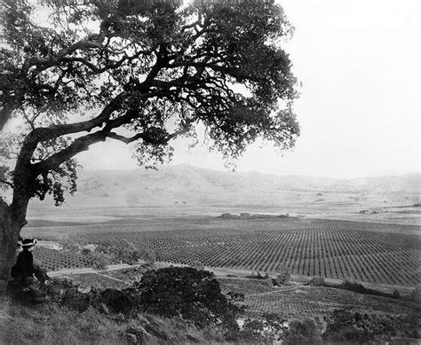 Vta was originally named the santa clara county transit district (scctd). Santa Clara County: Overlooking Santa Clara Valley, c.1890 ...
