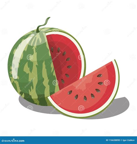 Watermelon Sliced Cartoon Vector Illustration