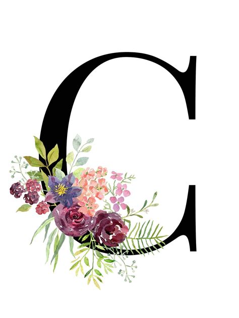 The Letter C Is Decorated With Flowers And Leaves