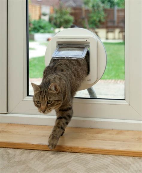 Make your cat feel at home with the sureflap microchip cat door
