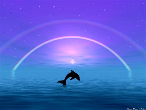 ~♥ Dolphins ♥ ~ Dolphins Wallpaper 10345767 Fanpop